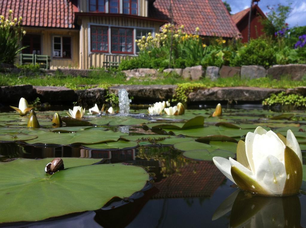 Vildrosor & Hoens Hagstad Экстерьер фото